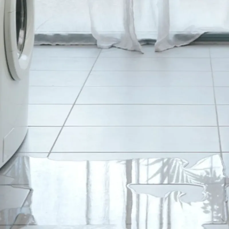 Appliance Leak Cleanup in Richmond, IN