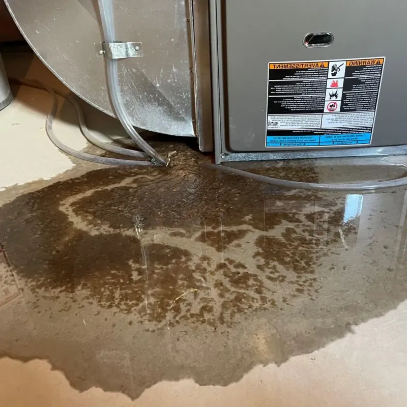 Pipe Burst and Leak Restoration in Richmond, IN