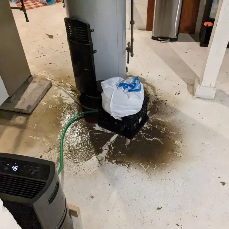 Sewage Backup Cleanup Service in Richmond, IN
